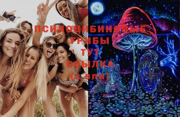 стаф Абинск